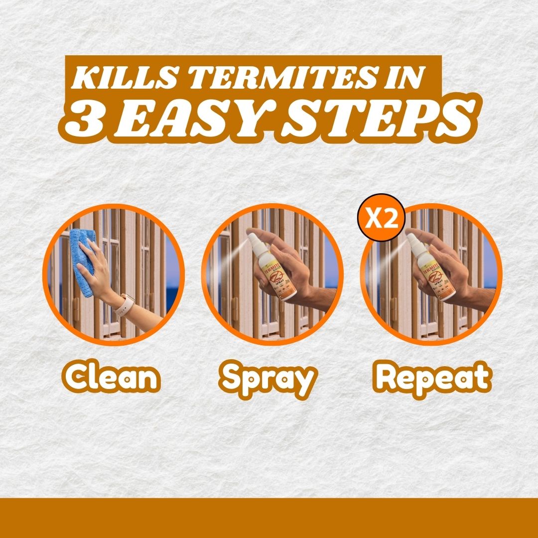 Termite Killer Spray - Effective Solution For Home