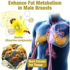 SD Mentherm Chest Fat Burning Oil Buy 1 Get 1 Free 🔥🔥